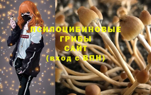 гашик Новодвинск