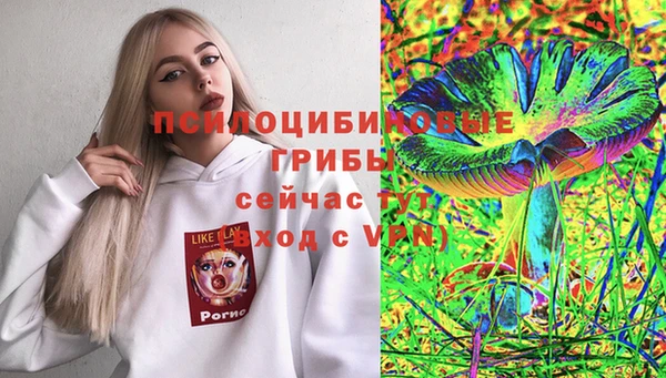 apvp Абинск