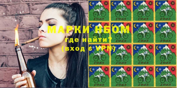 гашик Новодвинск
