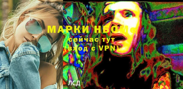 гашик Новодвинск