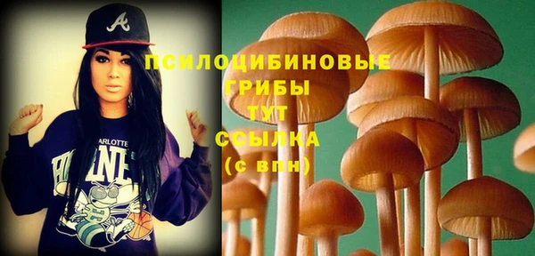 ешки Абдулино