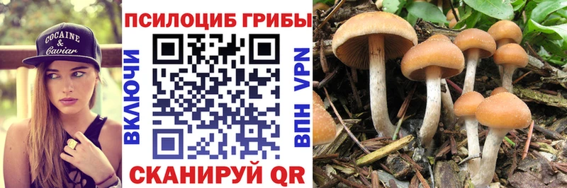 хочу   Якутск  Псилоцибиновые грибы ЛСД 